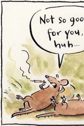 <em>Illustration: Cathy Wilcox</em>