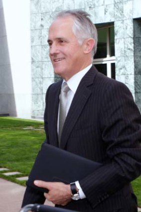 Shadow Minister for Communications and Broadband Malcolm Turnbull.