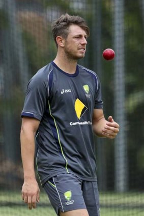 Big appeal &#8230; James Pattinson's return from injury quicker than expected has created an issue for his Big Bash League side.