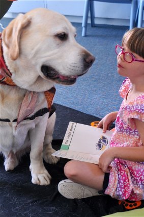 Classroom canine: Glengala Primary School first-grader Skye is helped with her reading by Atticus. "He's all soft and he listens."