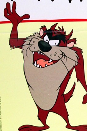 The Tasmanian Devil may live on beyond the Warner Brothers cartoon - and the cure for the disease could be found in a genetic immunity among some devils.