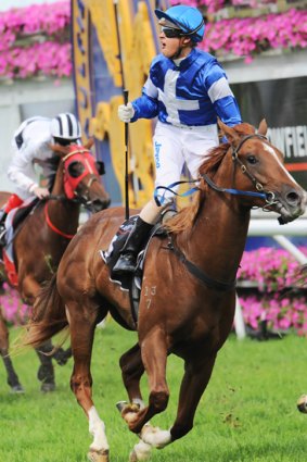 Nick Hall and Star Witness win the Blue Diamond Stakes.