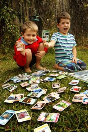 Calvin and Alex Rule with their collection of the popular Aussie Animal Cards.