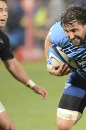 Bull at a gate: Potgieter cut his teeth in Super Rugby with the South African powerhouse.