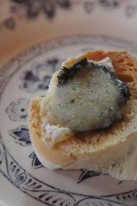 Black truffle served with grilled cheese.