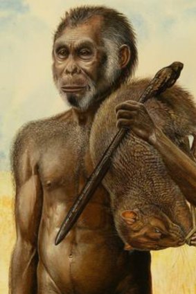 An artists impression of Homo floresiensis, the hobbit,