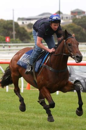 For Moudre, just half a kilogram would be enough to clinch a run in the Melbourne Cup.