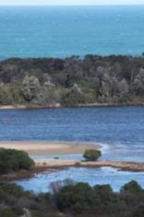 The southern right whale stranded at Lakes Entrance.