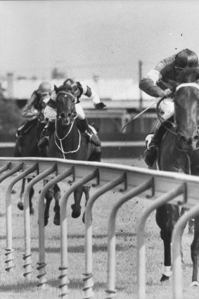 Bog racing: Strawberry Road in action in 1983.