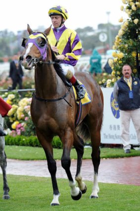 Quality: Vlad Duric on Inglis Classic hope Boomwaa.