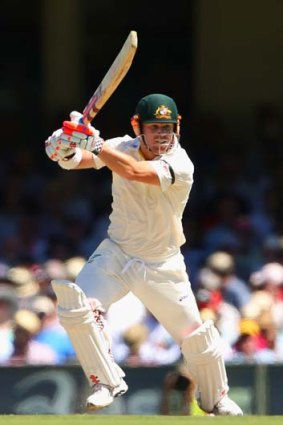 David Warner hits out early in the innings.