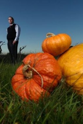 The annual Pumpkin Festival is on this weekend in Collector.