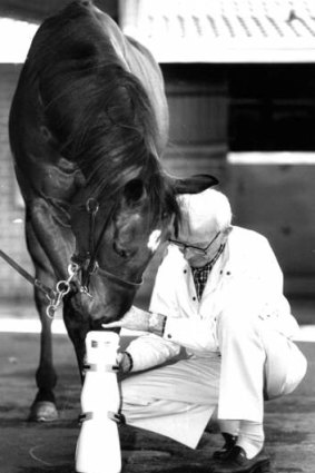 Perce Sykes fits a compression boot to a horse at Randwick in 1993.