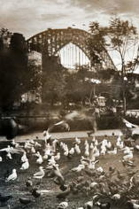 Society's eccentrics: Selby feeding his birds by Anthony Browell.