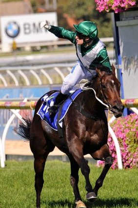 Samaready can add to her tally in Saturday's Black Caviar Lightning at Flemington.