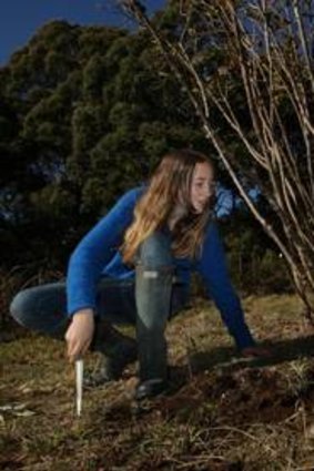 Sal the truffle dog shows Rita Marshal where the truffles are.