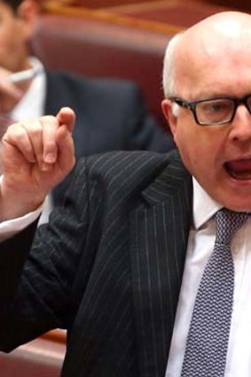 "What you are viewing  on the internet is not what we are interested in": George Brandis.