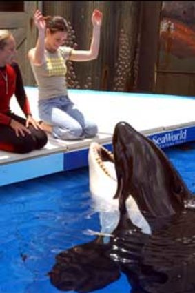 Lost actress Evangeline Lilly plays with Shamu at SeaWorld Orlando in Orlando in 2005.
