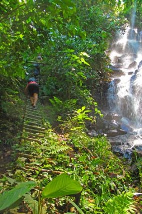 Green and gold ... Karapi waterfall.