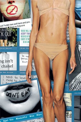 The Eating Disorders Foundation of NSW estimated there were more than 1 million pro-anorexia sites in 2008. <i>Illustration: Matt Davidson</i>.