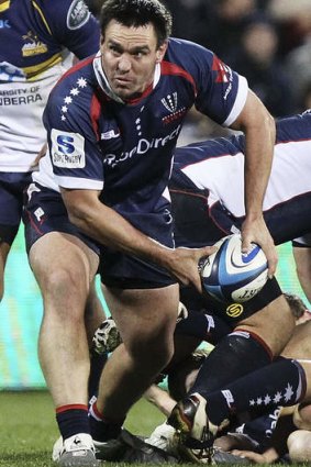 Multi-skilled: Rebels prop Nic Henderson shows his abilities as a halfback earlier this month.