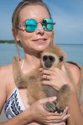 Apes such as this baby gibbon may carry at least 75 unique viruses that could transcend the species barrier.