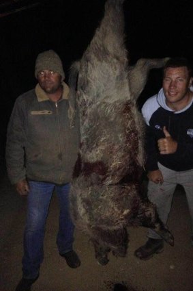 Wild: Raiders prop Shannon Boyd gives the thumbs-up next to a 132kg feral pig.