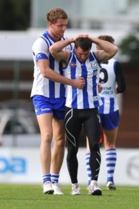 Will either Lachie Hansen or Brent Harvey line up for North Melbourne this weekend?