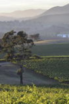 On the map ... Robert Oatley Vineyards' Montrose vines at Mudgee.