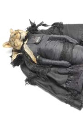 Julia deVille's <i>Victorian Cat Mummy</i>..