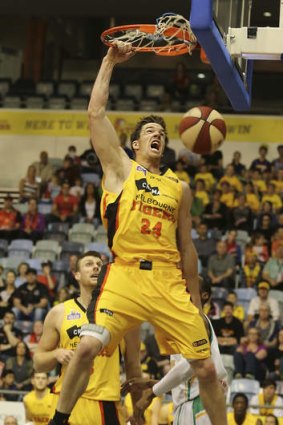 Melbourne Tigers forward Lucas Walker has been sidelined through injury.
