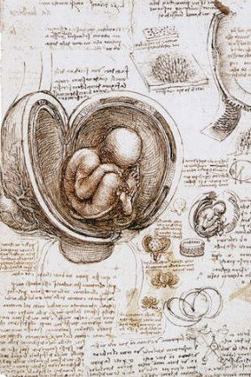 Leonardo da Vinci: Studies of the Foetus in the Womb