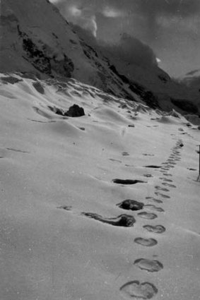 A creature of many names ... large, long-haired creatures like the Yowie - also as Bigfoot, the Abominable Snowman, Yeti, and Sasquatch - have been sighted in numerous parts around the world.