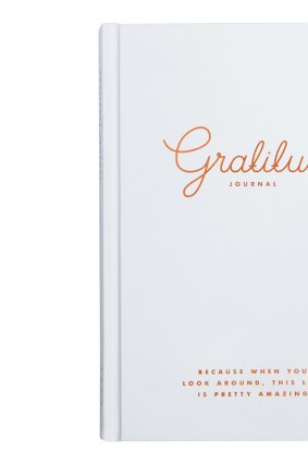 A Gratitude journal.