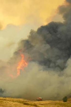 Murraguldrie State Forest fire
