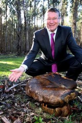 Premier Denis Napthinie with his fungi that he found in a blue gum plantation.