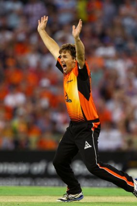 Brad Hogg of the Scorchers appeals for the wicket of Scott Coyte of the Thunder.