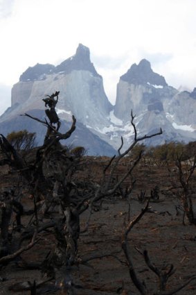 The Chilean government has sent four planes and a helicopter to the region where 300 firefighters, soldiers and forest rangers are battling the inferno.