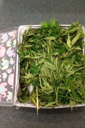 Police found 1.6kg of cannabis in the man's car.