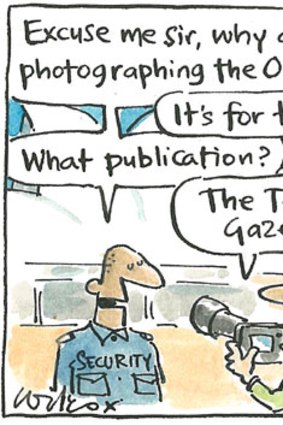 <em>Illustration: Cathy Wilcox</em>.