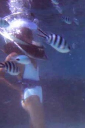 Underwater pose off: Shanali can work it underwater and on land.