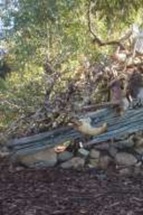 The well-constructed cubby in the Carnegie St Park in Narrabundah