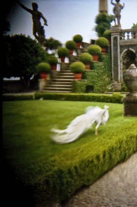 Improbability: Christopher Koller captured beautiful images of the 17th-century gardens of Isola Bella by using a camera with a plastic lens.