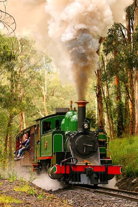 Puffing Billy full steam ahead.