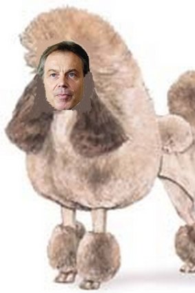 Tony Blair as George W. Bush's poodle.