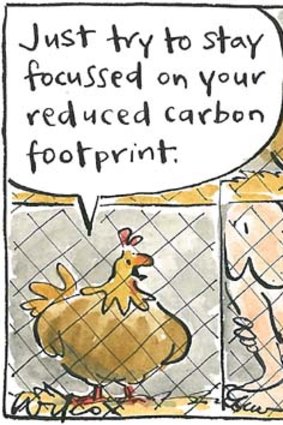 <em>Illustration: Cathy Wilcox</em>