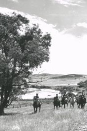 Horsing around: A large group of children from Acton riding school circa 1950  - you can make out Black Mountain on the right and the patch of Himalayan Cedars at the present National Arboretum back centre.