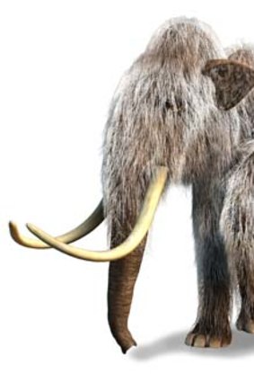 An illustration of a woolly mammoth.