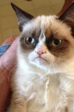Grumpy Cat achieved internet fame.