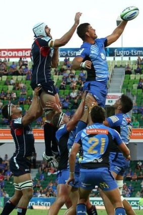 Perth marquee forward Wilhelm Steenkamp wins a lineout against the Rebels.